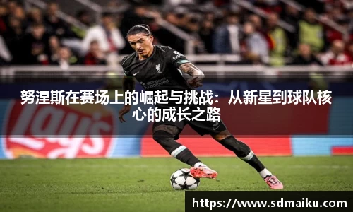努涅斯在赛场上的崛起与挑战：从新星到球队核心的成长之路