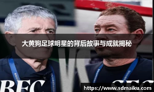 意昂体育-全方位的体育赛事平台